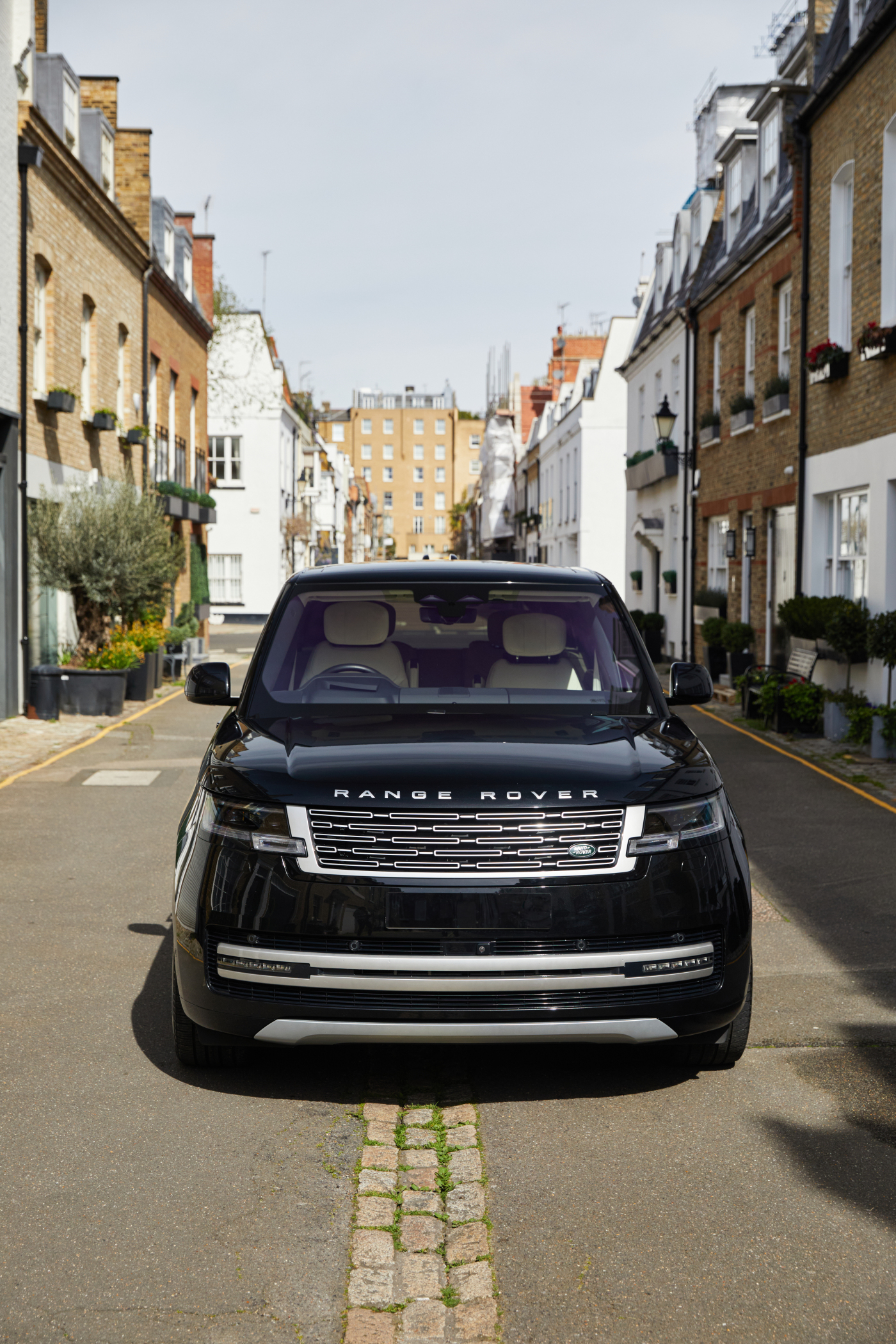 Vogue LWB